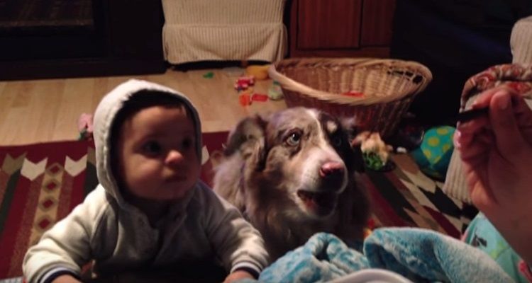 Cerca di convincere il figlio per dire “Mamma” e ha una sorpresa dal cane