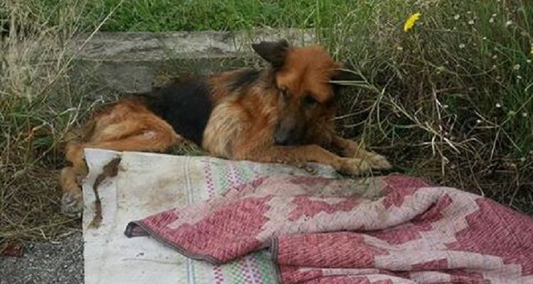 A Natale ti regalo l’eternità