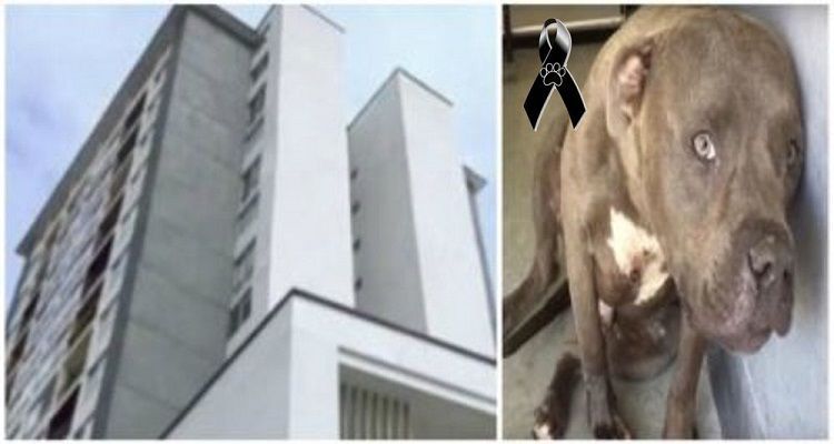 Una tragedia di Natale che poteva essere evitata