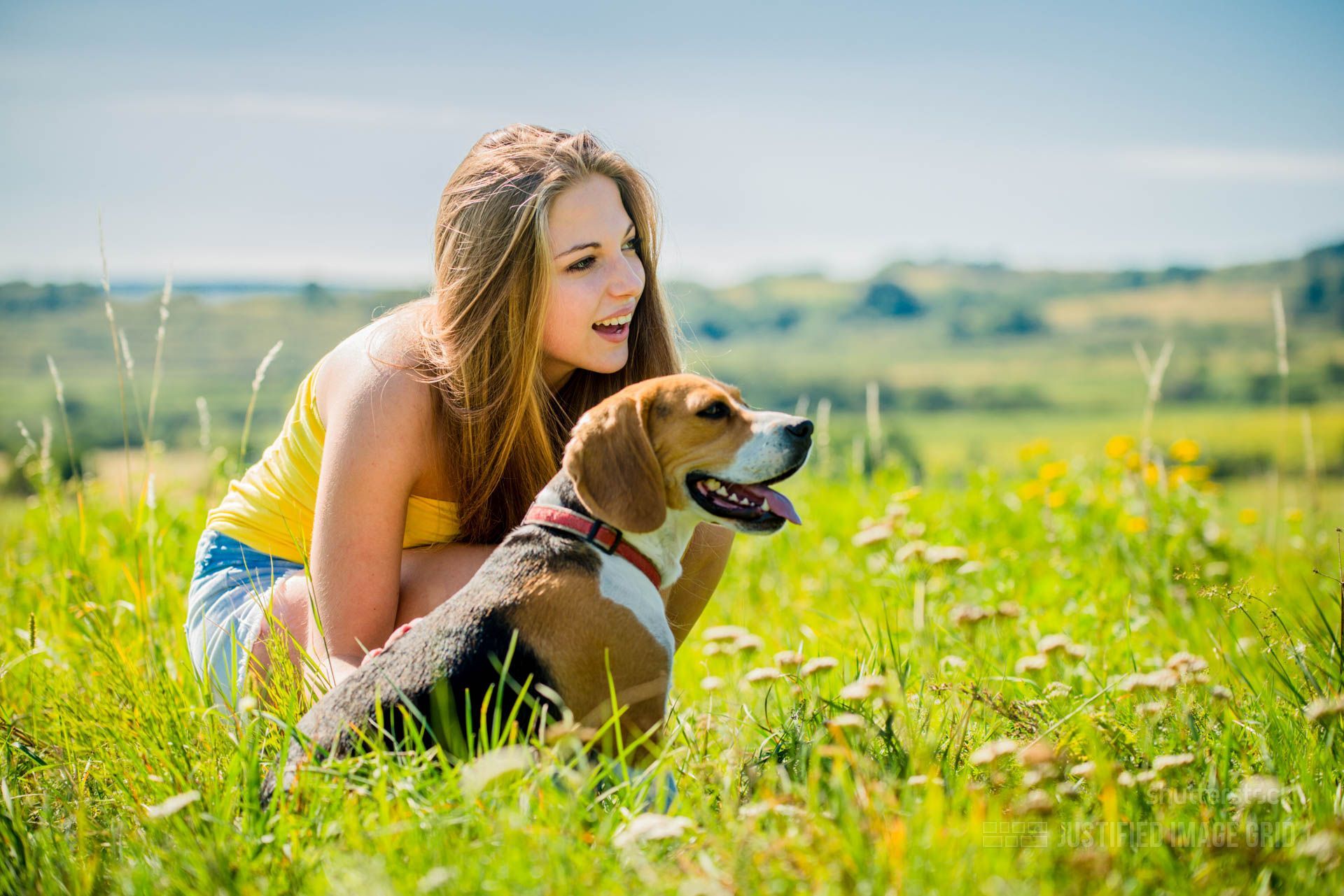 Vivere con un cane migliora la nostra salute