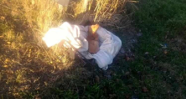 Abbandonato nel fosso insieme al fratellino, lotta tra la vita e la morte