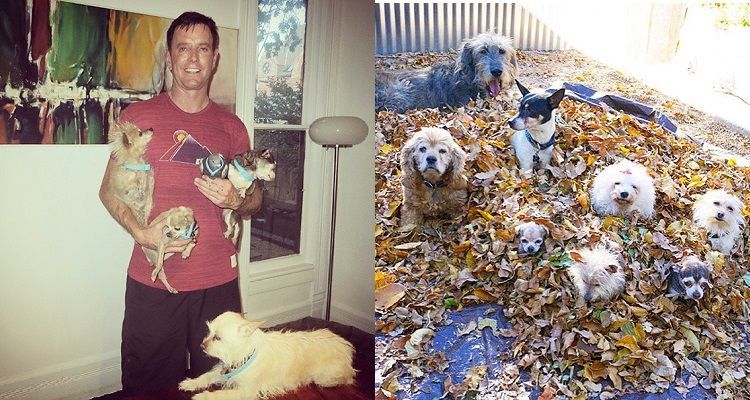 Adotta i cani anziani che nessuno vuole: la storia di Steve Greig