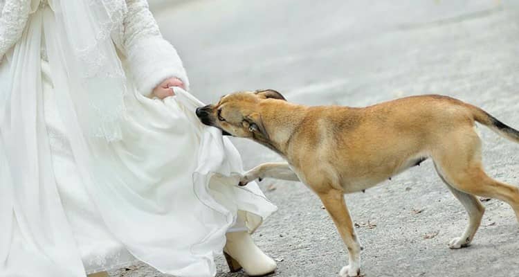 Nessuno poteva immaginare cosa avesse sotto il vestito… lui è un eroe!