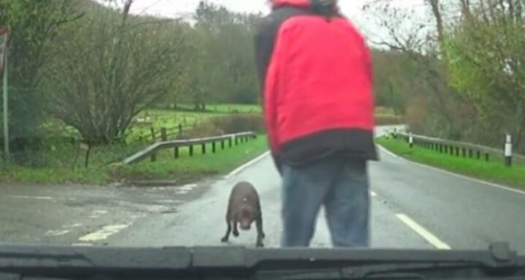 Ferma l’auto e lo salva da morte certa!