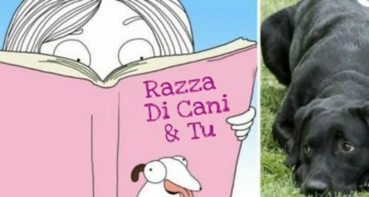 Sapevi che la razza del tuo cane corrisponde alla tua personalità?