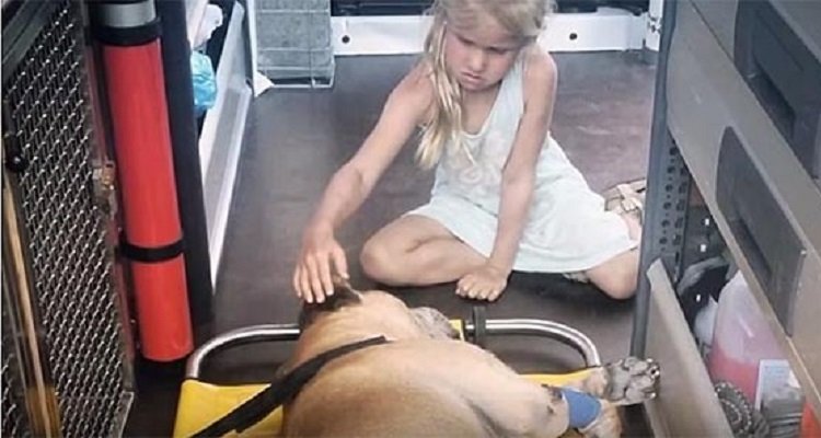 Il toccante saluto di una bambina di 6 anni al suo cane