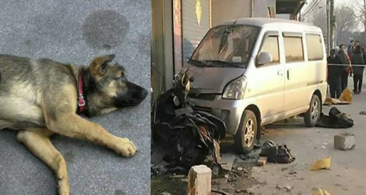 Il cane sta male e lui scappa ma…