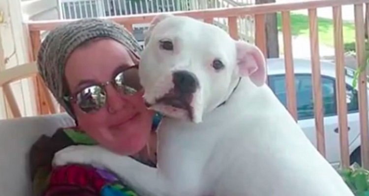 Il cattivo odore di Rocco fa capire alla sua nuova mamma la verità sul suo passato