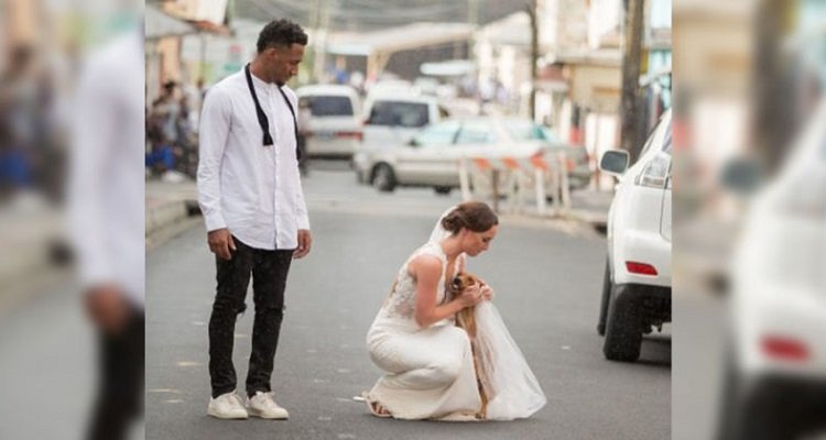 Non potendo avere i loro cani accanto nel matrimonio, questa coppia prende una bellissima decisione