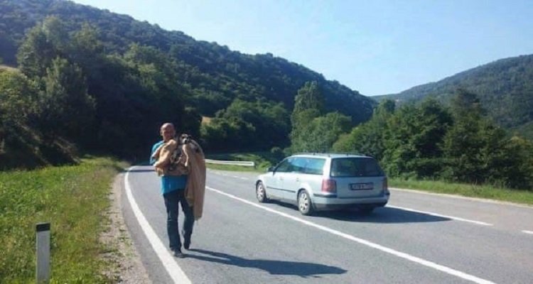 Fermano la macchina per salvare un cane ma ne salvano 9