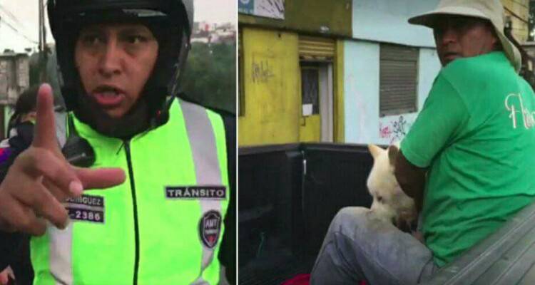 Il poliziotto e il cane