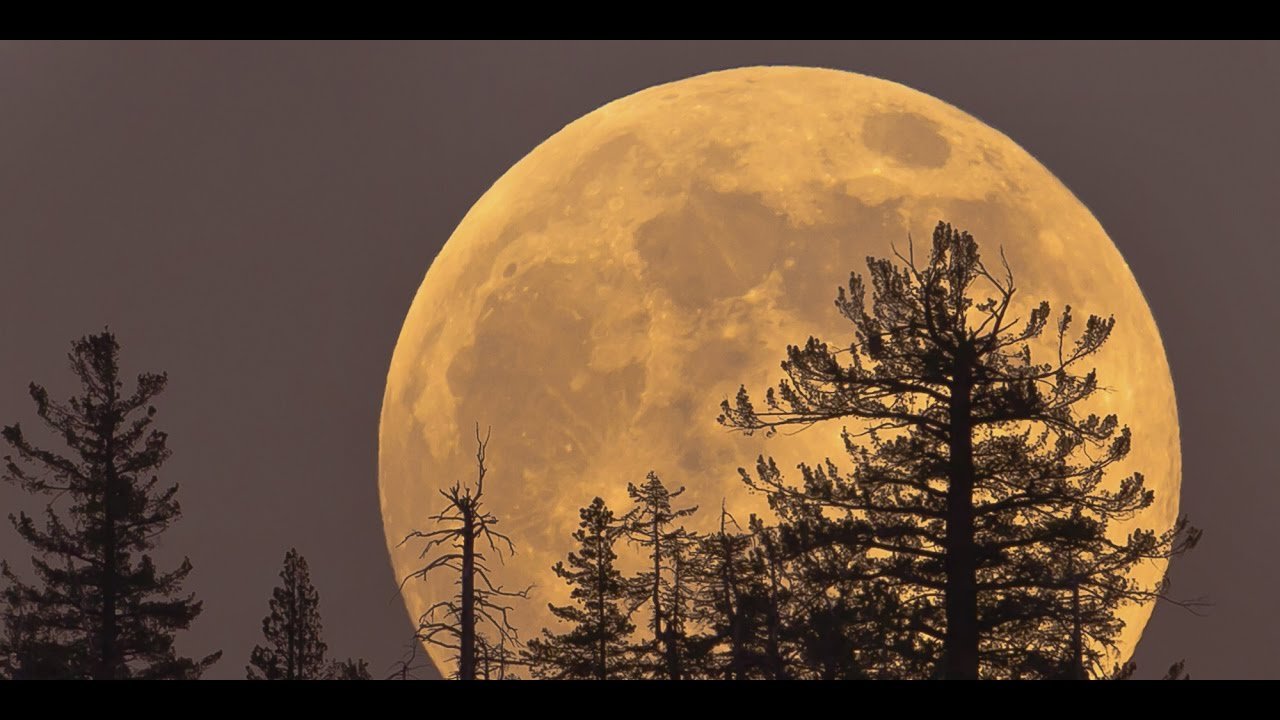 Il 31 gennaio ci sarà la Super Luna “Blu di sangue”