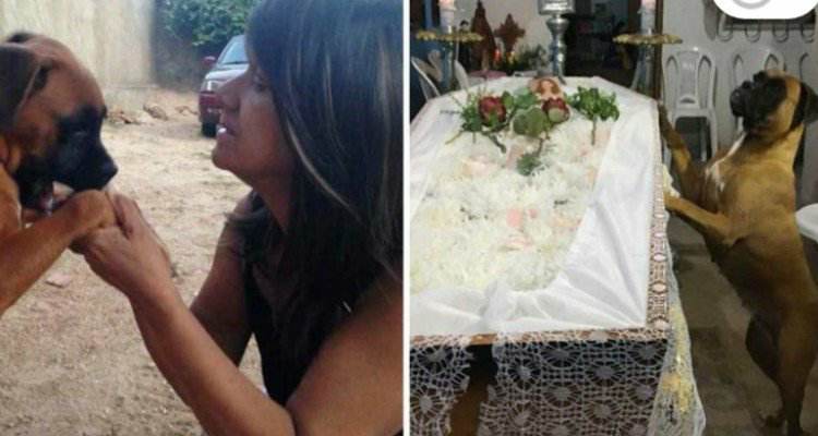 Belinha rimane vicino a Maria durante tutto il suo funerale