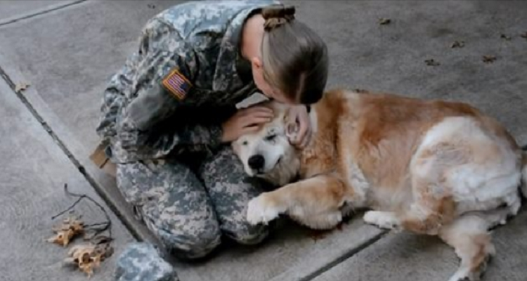 Buddy piange quando la soldatessa ritorna a casa