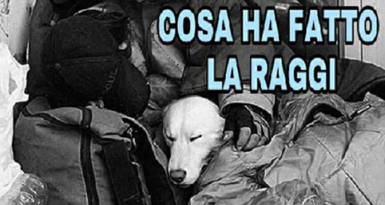 Bellissima iniziativa della Raggi per i senzatetto e per i loro cani