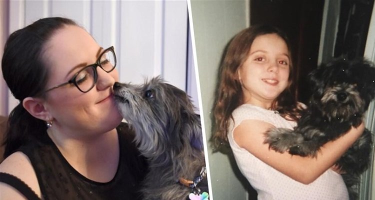 Adotta una cagnolina anziana, si rende conto che è la “migliore amica” che aveva perso da bambina