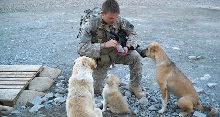 I cani salvano i soldati da un attentato