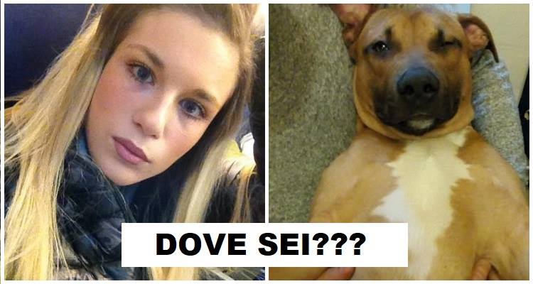 Dove è il cane di Jessica?