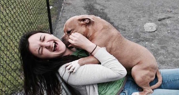 Cane restituito perché troppo carino: ora cerca casa!
