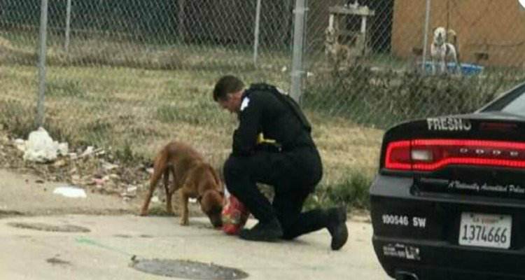 Poliziotto aiuta cane randagio