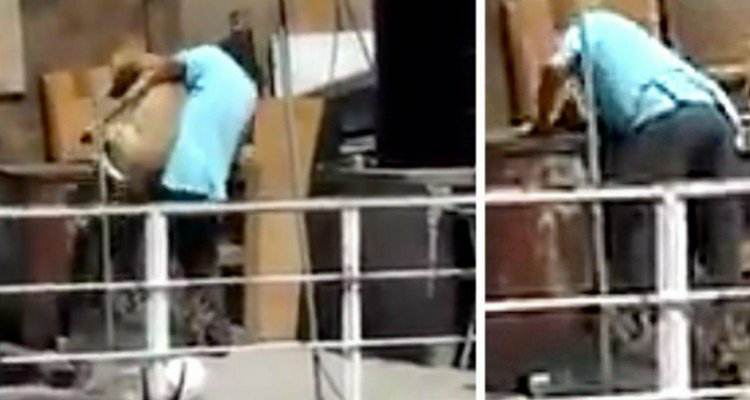 Il vicino tortura il suo amico a quattro zampe
