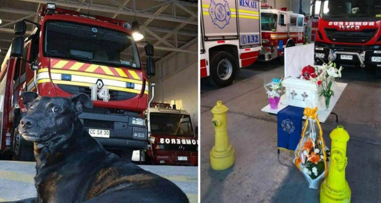 Si ritrovano a dargli un ultimo saluto dopo quattordici lunghi anni di servizio