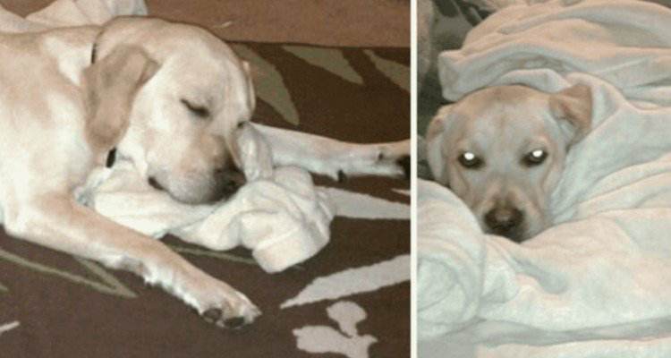 Alix vieta a Hank di avvicinarsi alla coperta che le aveva regalato la suocera
