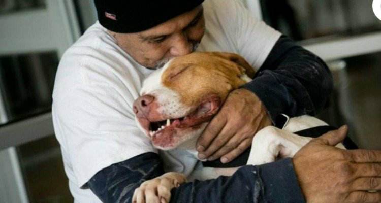 La reazione di Titus quando il suo amico umano torna a riprenderlo al rifugio
