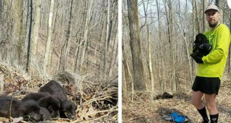 I cuccioli abbandonati nella foresta