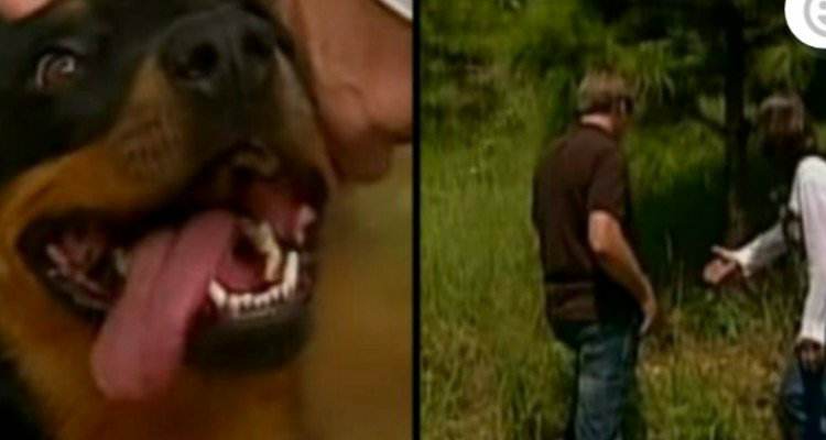 Kathy trova un cagnolina abbandonata ma alla fine scopre una cosa incredibile