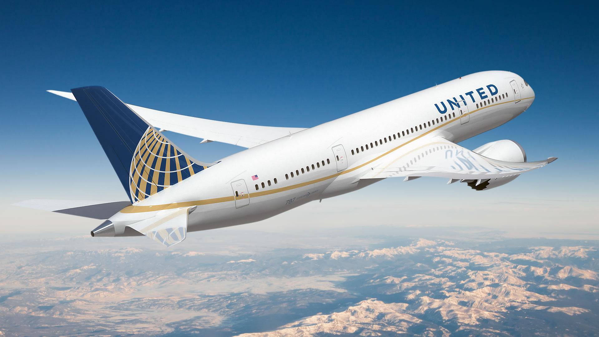 United Continental: un cane muore in volo, un altro finisce all’aeroporto sbagliato