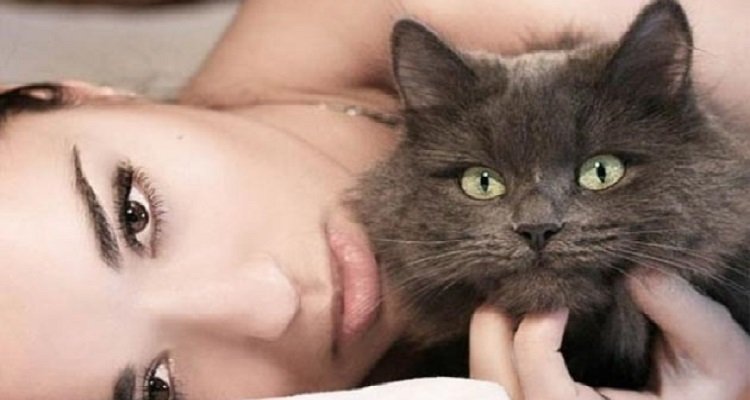 Non innamorarti mai di una donna che ama i gatti