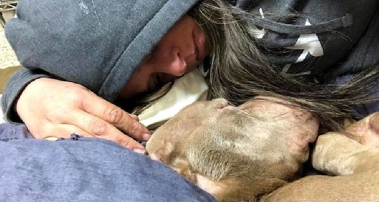 Donna culla il cane tra le sue braccia per tutta la notte, per non farlo morire da solo