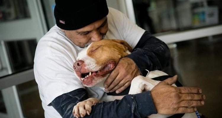 Cane abbraccia il suo papà umano che è tornato nel rifugio per salvarlo