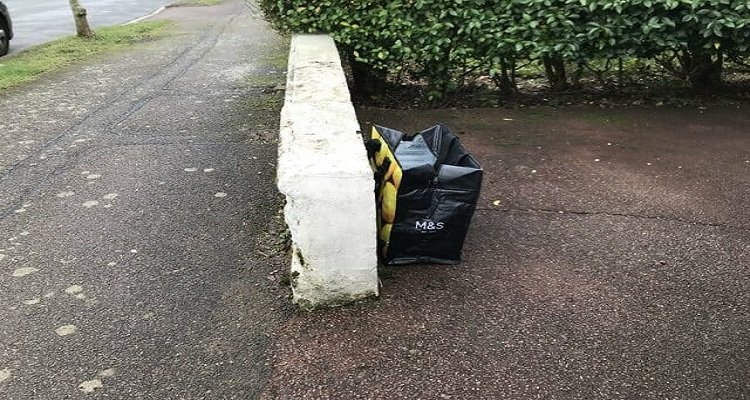 Gatto abbandonato in una busta di plastica: lo salvano all’ultimo momento