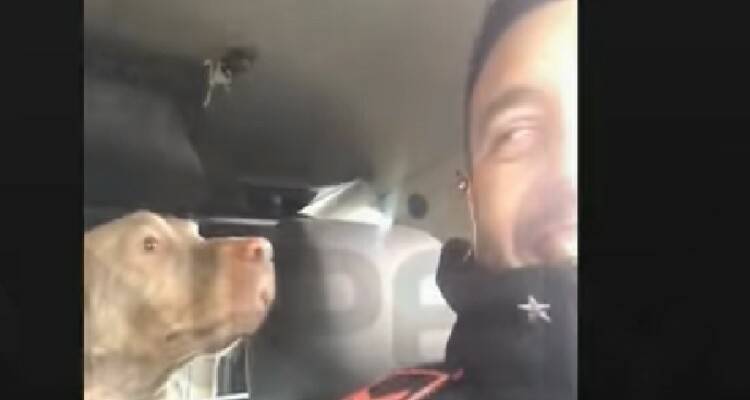 L’arresto di Spadino