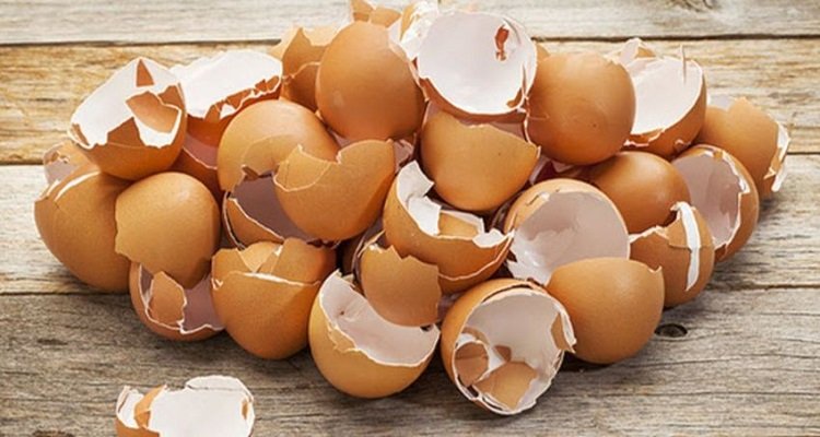 I modi incredibili per utilizzare i gusci delle uova