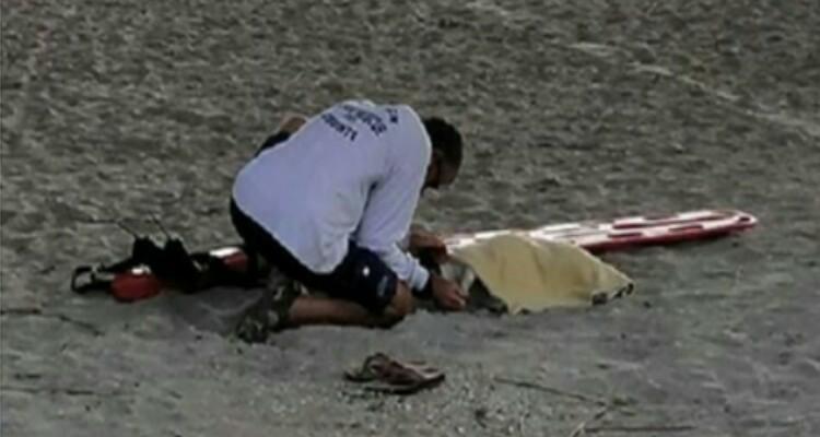 Il cane che vola
