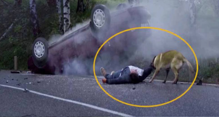 Lo porta in salvo dopo un brutto incidente, prima dell’esplosione dell’auto, salvandogli la vita