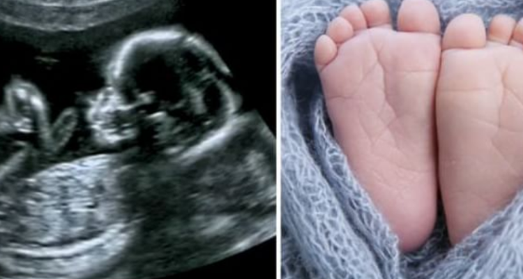 Nasce quattro anni dopo la morte dei suoi genitori