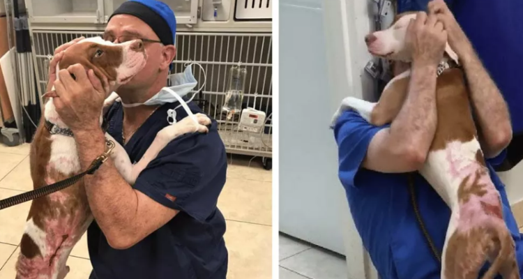 “Guardate il suo corpo, guardate la carne… nonostante il dolore lui rimaneva fermo”