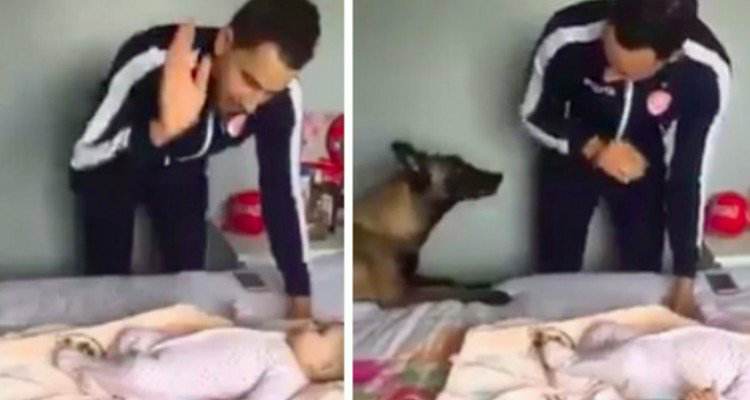 La reazione del cane quando l’uomo finge di picchiare la bambina