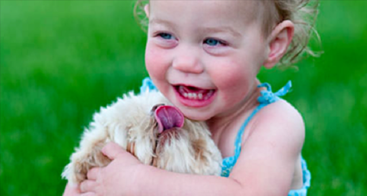 Ecco ciò che ogni madre dovrebbe sapere prima di lasciare che il cane lecchi la faccia del suo bambino