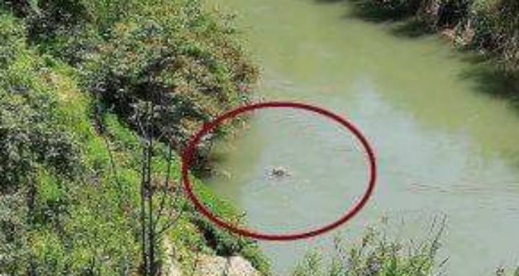 Si sporge sul fiume per urinare: trovato cadavere di un 20enne nell’Aniene.