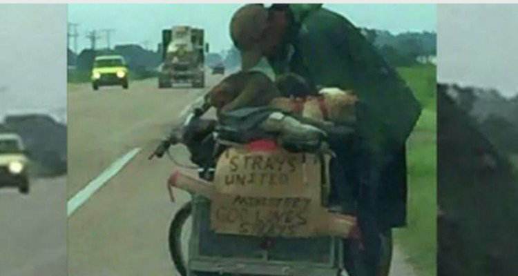 Il senza tetto ed i cani sull’autostrada