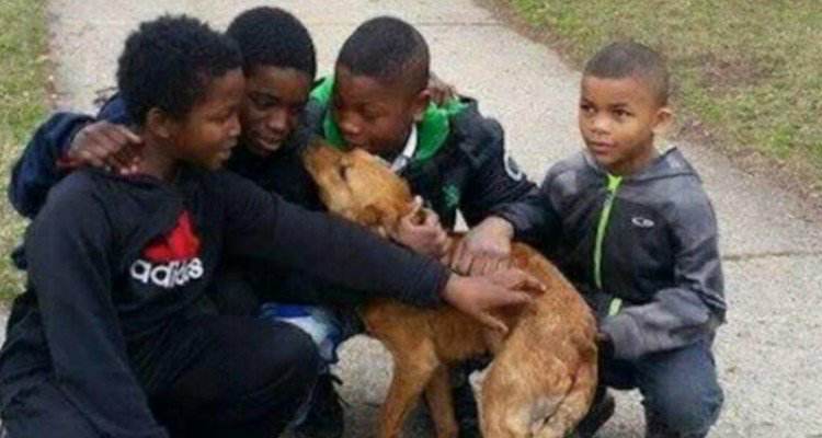 Quattro bambini salvano una cagnolina abbandonata in una casa disabitata