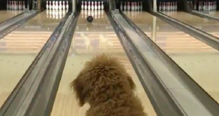 Quello che fa Blake davanti la pista da bowling