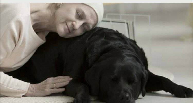 Il programma che aiuta le persone in fin di vita a salutare il proprio animale domestico