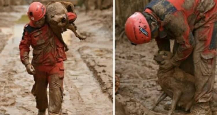 La tragedia che ha colpito il Brasile