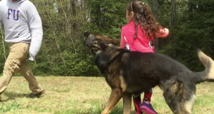 Il cane che segue ogni parola della bambina